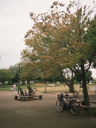 大鷹之森站鄰近公園圖片