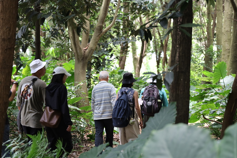 帶領社創所師生穿過純園，走過華德福學童打造的樹屋圖片