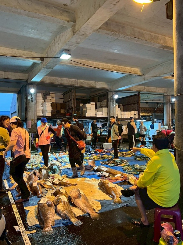 同學考察清晨的澎湖魚市場圖片