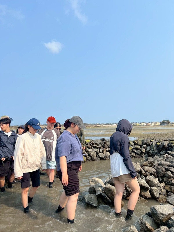 同學踏查石滬圖片